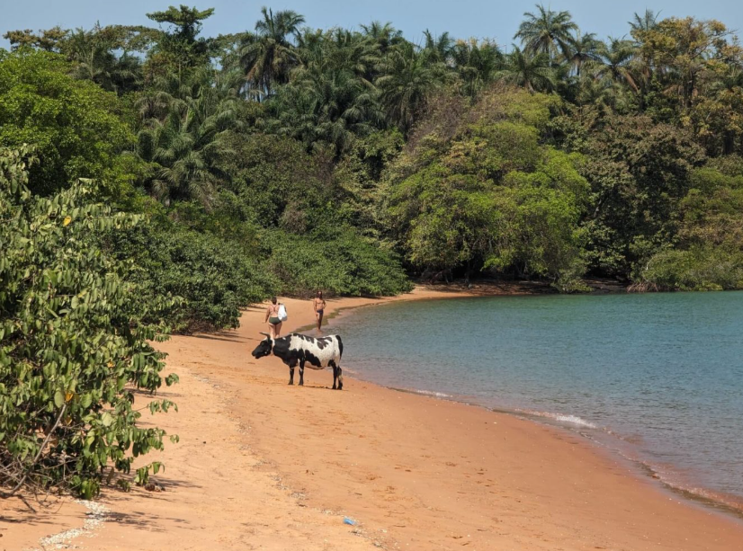Bijagós Archipelago, Off the coast of Bissau, Guinea-Bissau